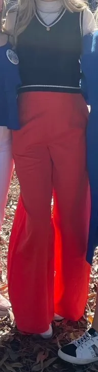 SheIn High-Waist Wide Leg Pants - Image 3