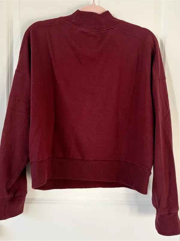 Aeropostale Maroon Pickleball Charleston Graphic Quarter-Zip Sweatshirt - Image 4
