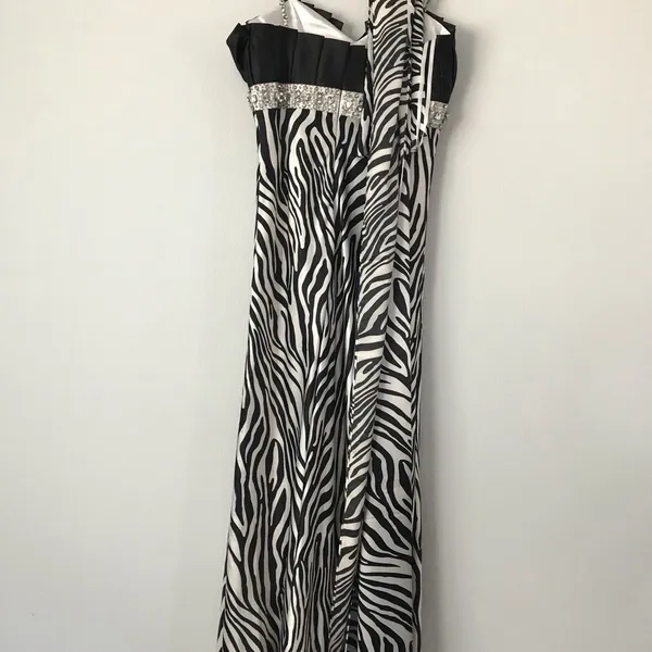 Gorgeous Zebra Print Dress- M - Image 3