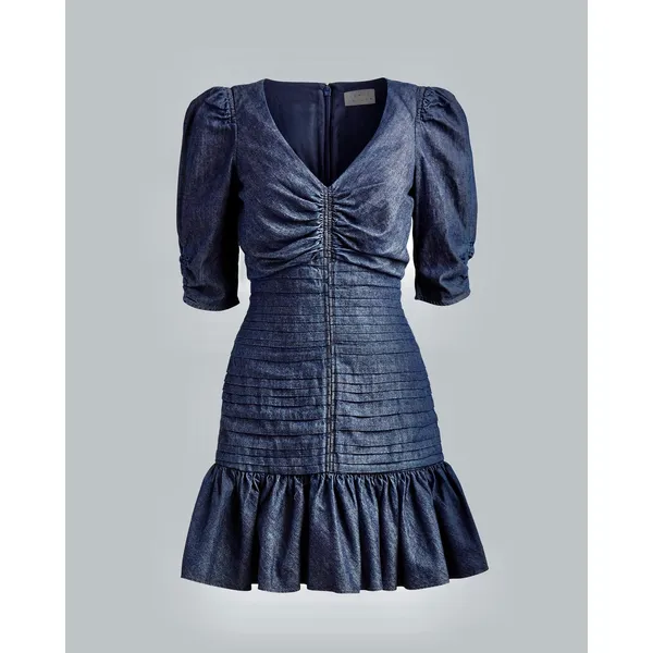 TANYA TAYLOR Pansy Dress Blue‎ Denim Pleated Mini Puffed Sleeves Flirty Size 6 - Image 10
