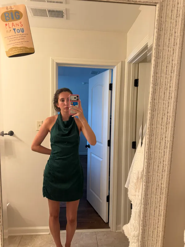 Lulus Dress - Image 3