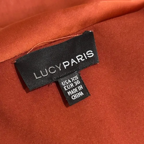 Lucy Paris Sienna Silk Wrap Dress in a rust or spice color EUC - Image 5