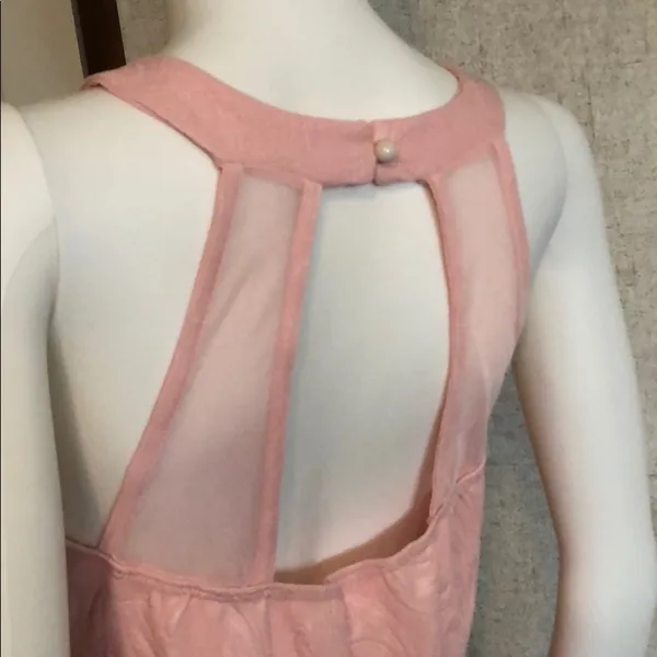 Pink Dress Size 2X - Image 2