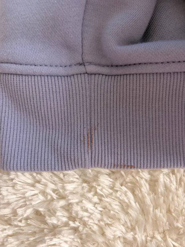 Carhartt Hoodie - Image 4