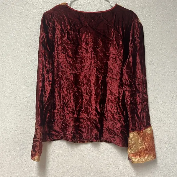 VINTAGE CLIO Crush Velvet Fall Hues Blouse Size Large - Image 2