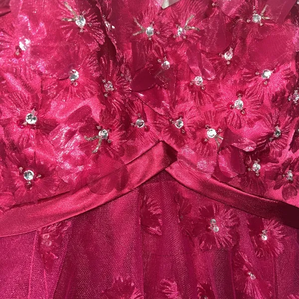 Magenta Floral Tulle Party Dress Sequin 3D Flower Corset Back DY83A070Size 13/14 - Image 2