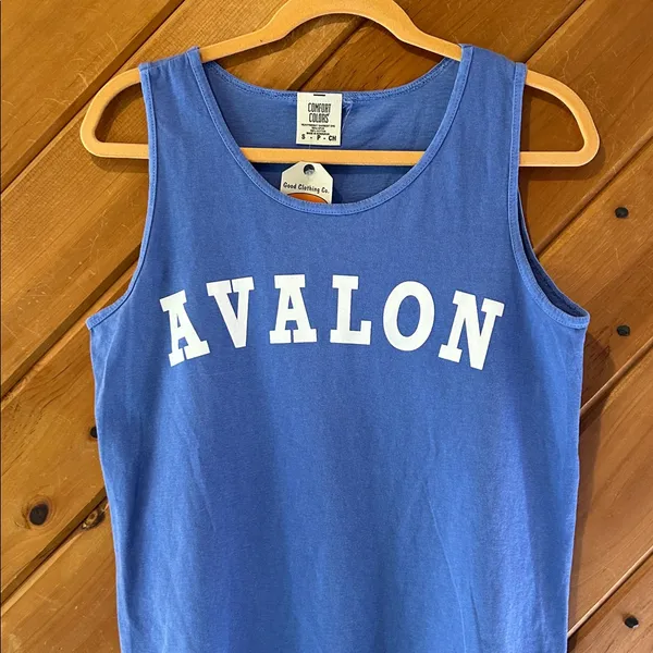 “Avalon” NJ comfort colors blue & white tank top NWT - Image 2
