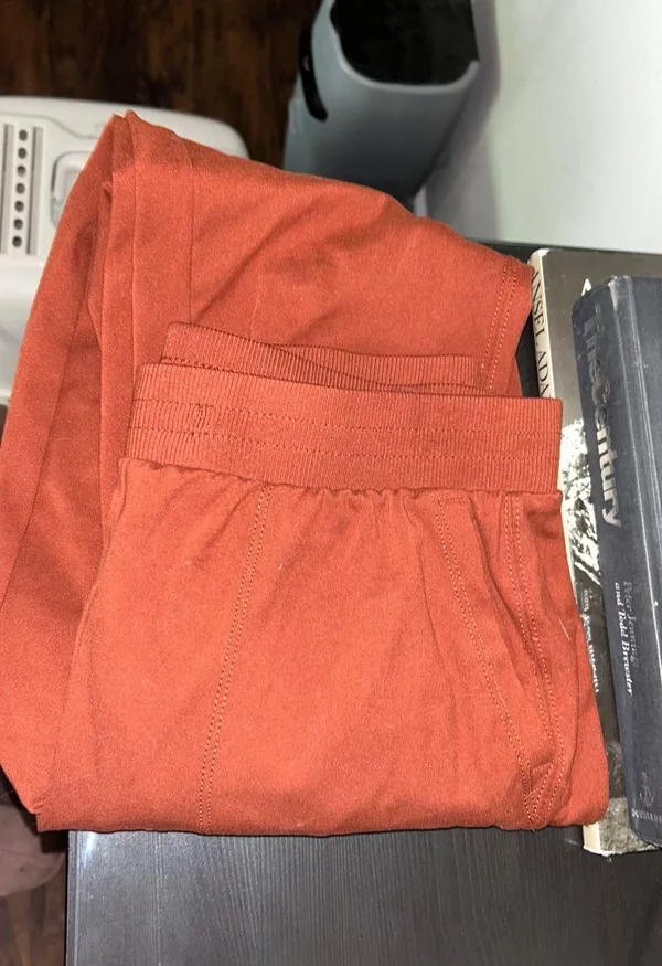 Rachel Zoe Joggers - Image 2