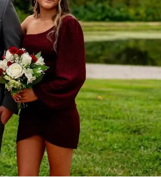 Homecoming Dress Windsor - Image 2