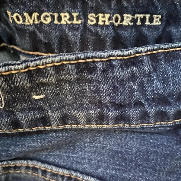 American Eagle Outfitters TOMGIRL Dark Wash Distressed Shorties Size 2 - Image 7