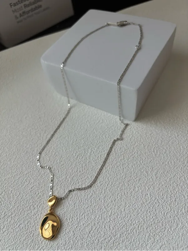 NWOT Jenny Bird Two-Tone Silver Chain Necklace with Gold Pendant Charm - Image 2