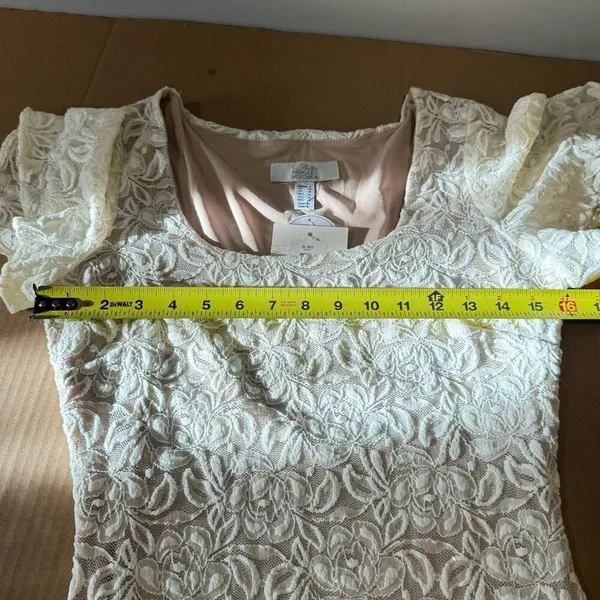 NWT‎ Belle Badgley Mischka Lace Floral Sequin Stretch Mini Dress White Nude - Image 12
