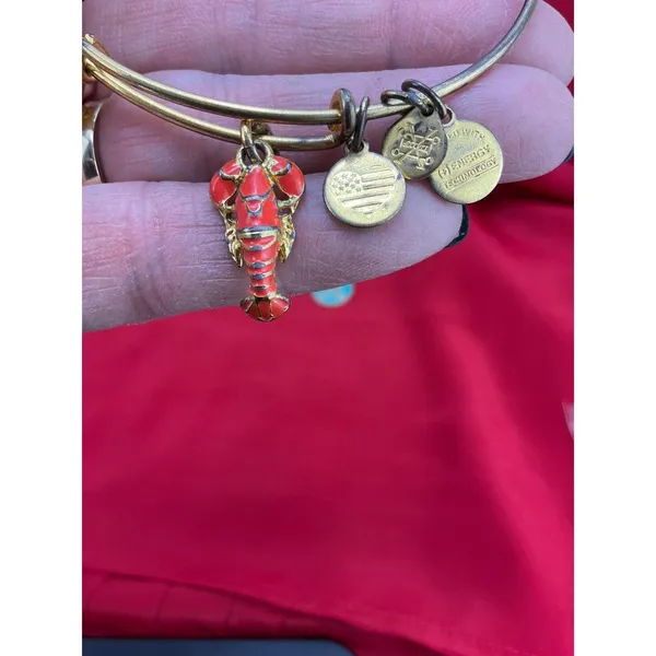 Alex and Ani Bangle Bracelet Lot 6pc‎ Nautical Lobster Fish Anchor Gold Silver - Image 7