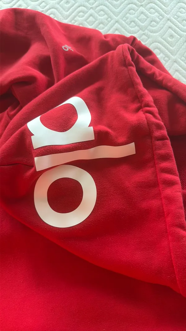 Alo Yoga Hoodie - Image 3