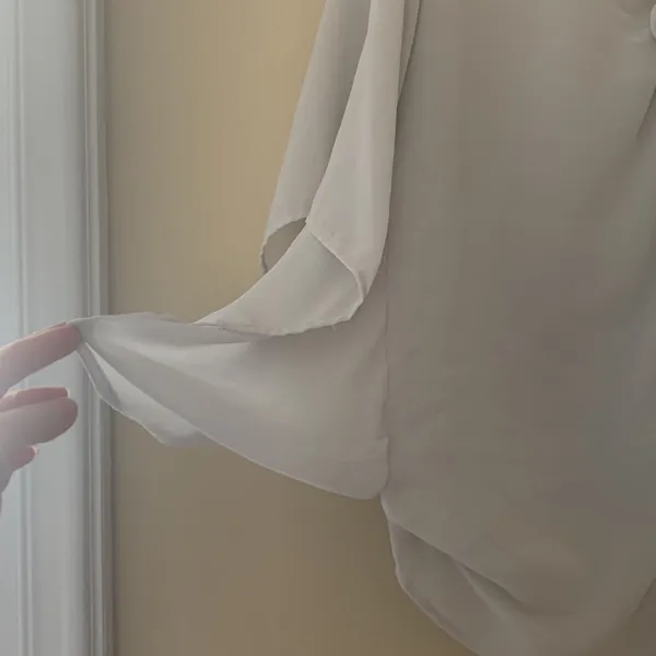 Sheer Blouse Size L - Image 2