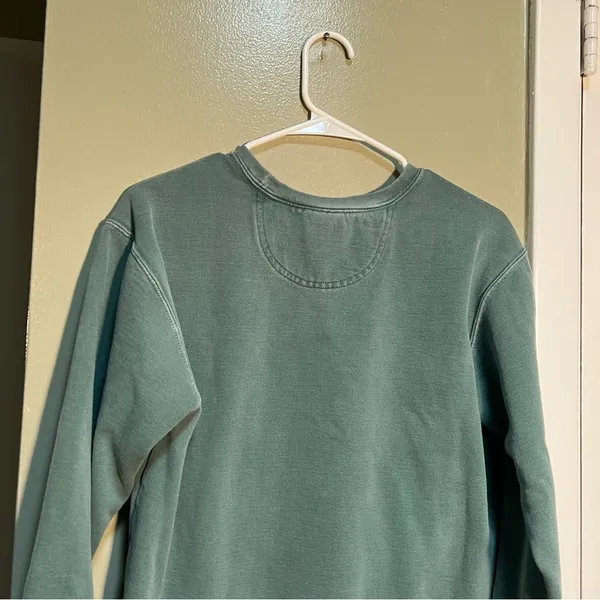 Comfort Colors Women's Size Small Crewneck Sweatshirt Light Green White Virginia - Image 6