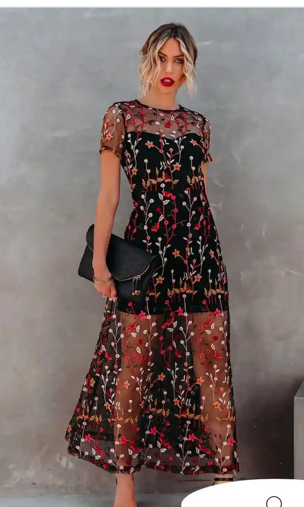 VICI Immeasurable Joy Embroidered Mesh Maxi Dress - Image 2