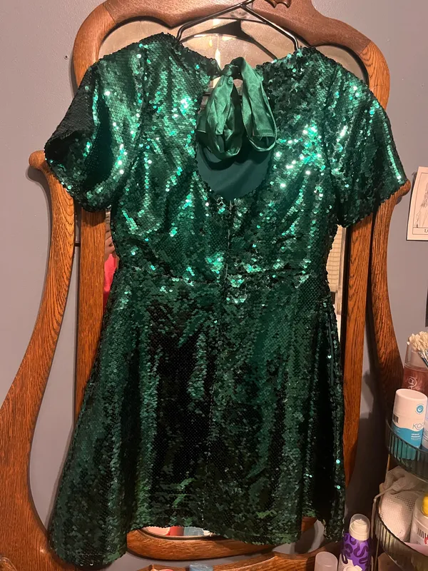 Francesca's Dress - Image 4