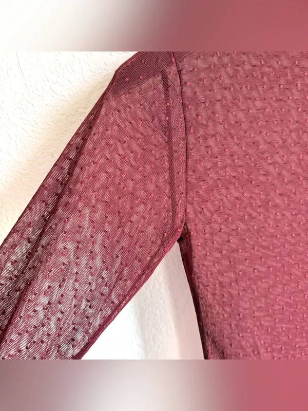 NWT Free People Womens Shirt Sheer Dotted Long Sleeve High Neck Size Small - Image 6