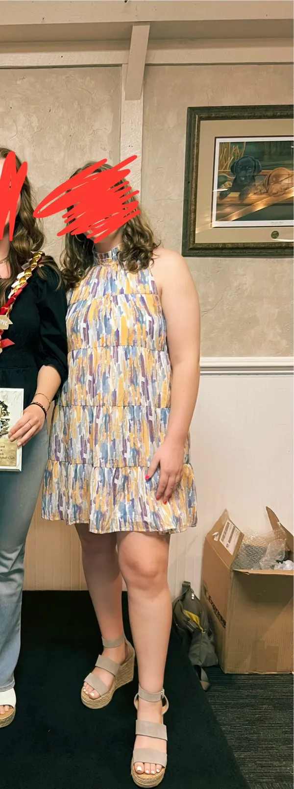 Entro Dress Brushstroke  - Image 5