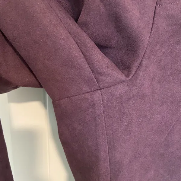 EUC Vintage Birch Hill‎ women’s dark purple faux suede casual pants size 10 - Image 3