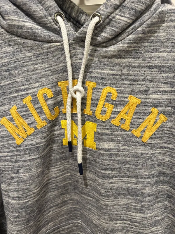 Champion University of Michigan hoodie - Image 2
