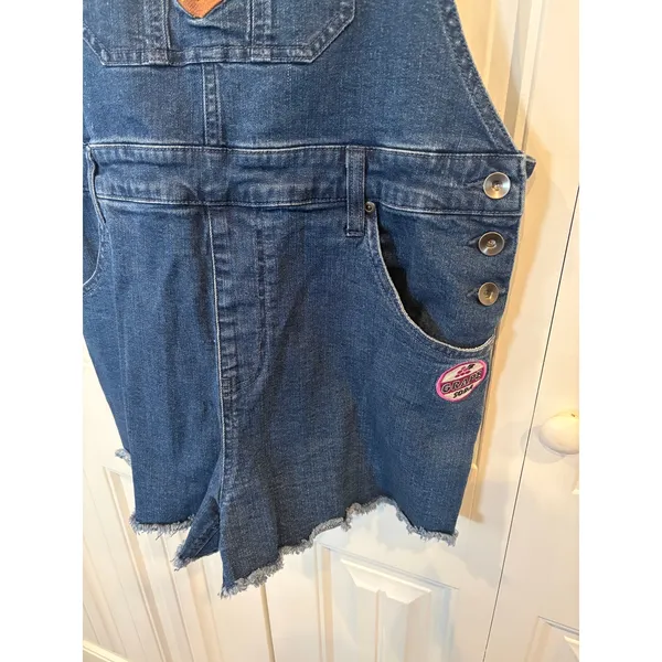 Disney Pixar Up‎ Junior Wilderness Explorer Embroidered Denim Shortalls Size XL - Image 5
