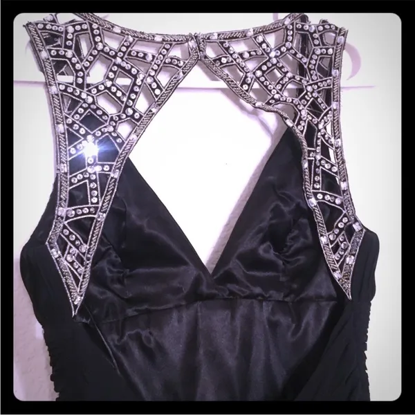 Bee Darlin Evening Gown - Image 2