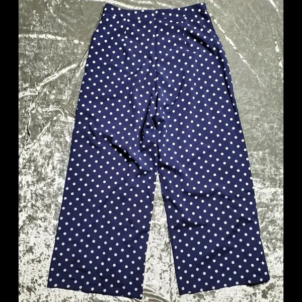 Nasty‎ Gal Polkadot Pants - Image 5