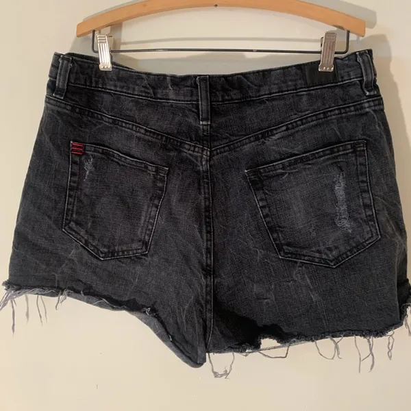 Urban Outfitters BDG Girlfriend High Rise Shorts - Image 4