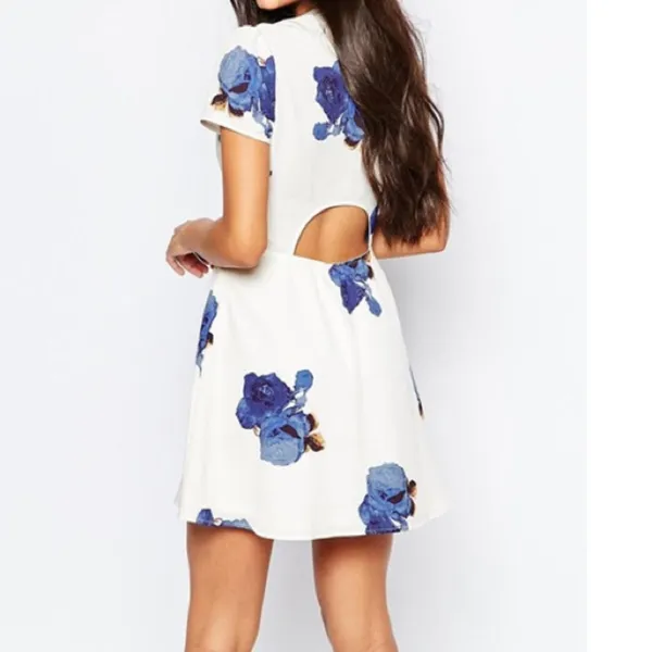 Blue White Rose Floral Cut Out Back Skater Fit Flare V Neck Mini Dress Sz S BWT - Image 2