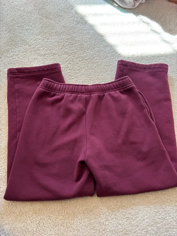 Aritzia Cozyfleece Straight Leg Sweats - Image 3