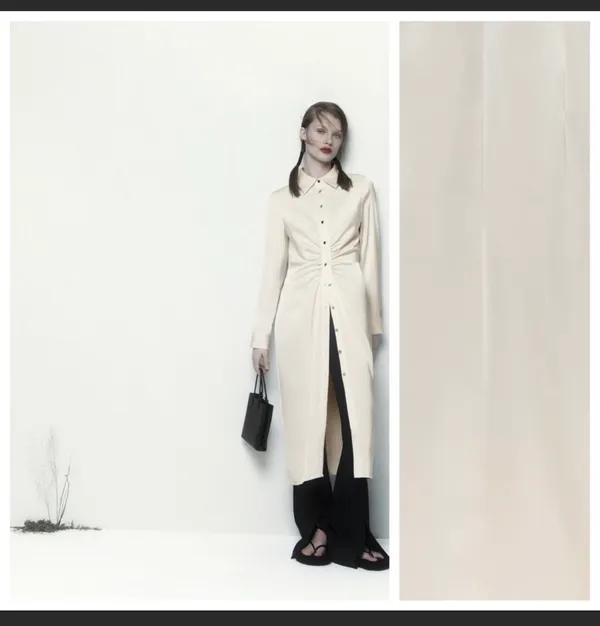 Zara Dress - Image 2