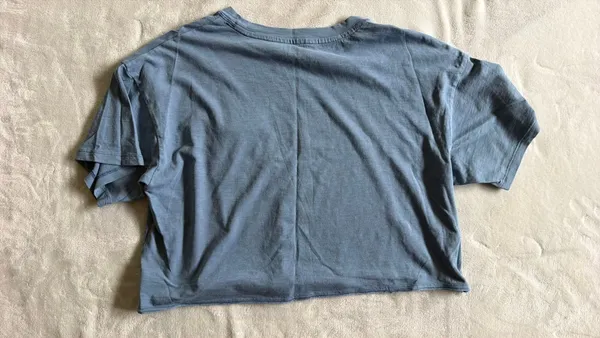 American Eagle Crop Top - Image 2