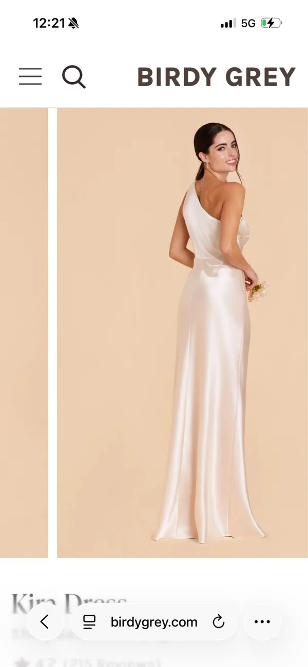 Birdy Grey Shiny Satin Neutral Champagne Dress - Image 2