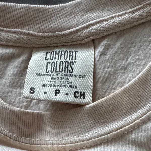 Comfort Colors Cream Cookies for a Cure Tri Delta & Chi Phi Sorority Graphic Tee - Image 2