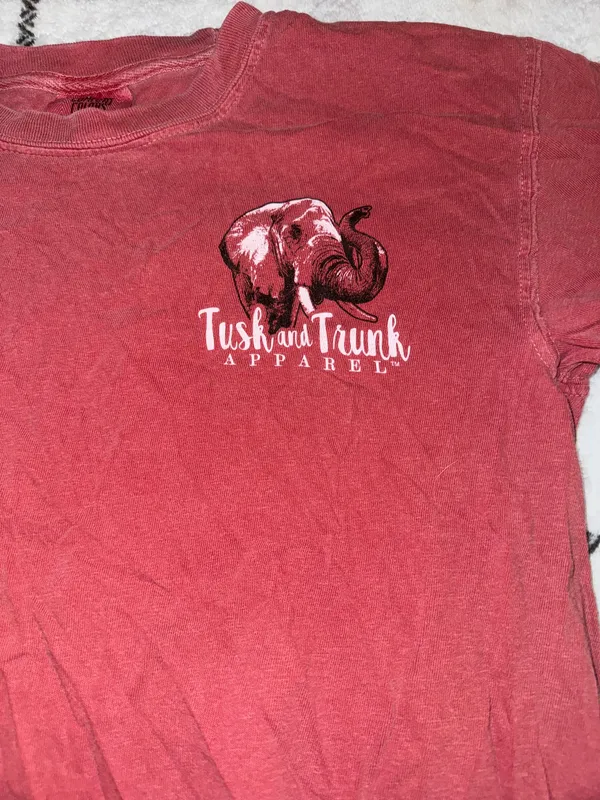 Alabama Comfort Colors T-Shirt - Image 4
