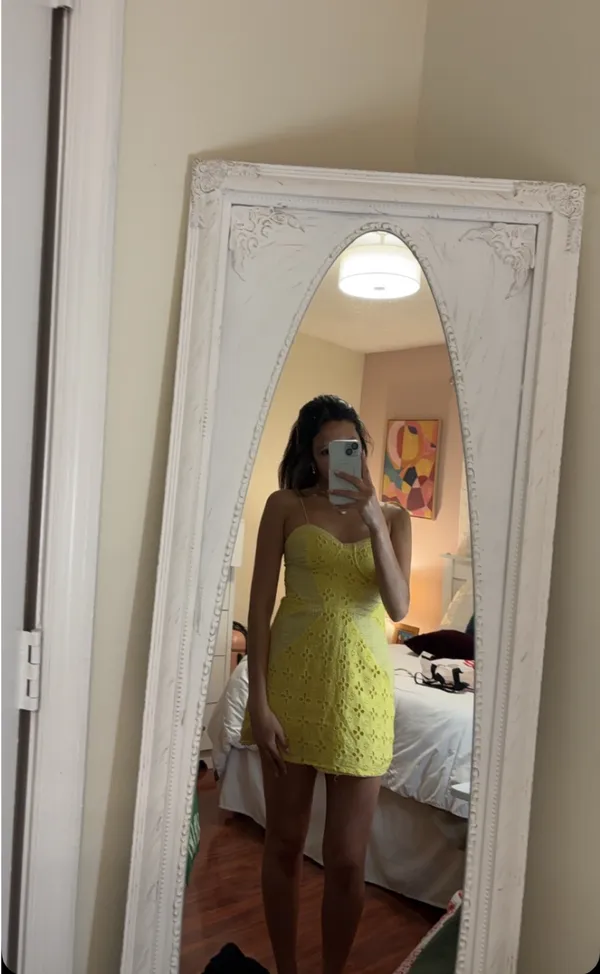 Revolve Strangers to lover mini dress - Image 4