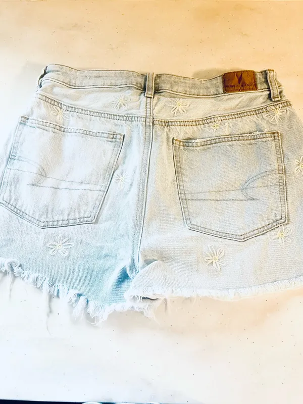 Daisy Embroidered American Eagle Shorts - Image 2