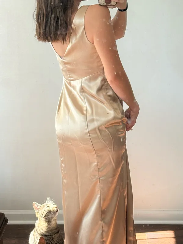 Birdy Grey Champagne Satin Dress - Image 3