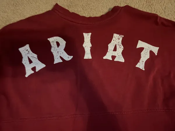 Ariat Top - Image 2