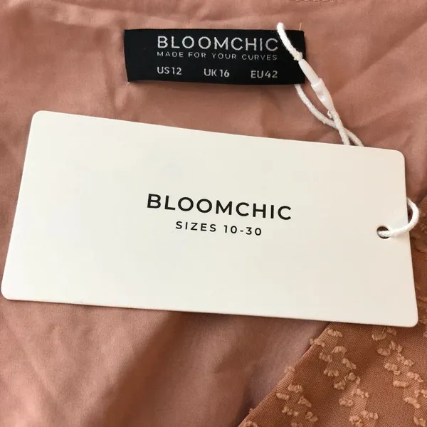 Bloomchic Geometric Mesh Surplice Neck Belted Ruffles Blouse Sheer Pink 12 - Image 6