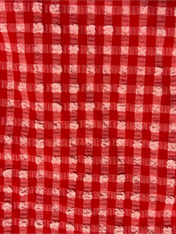 Wild Fable Red Gingham Tie-Side Bikini Bottom — Size XL (16) — NWT - Image 4