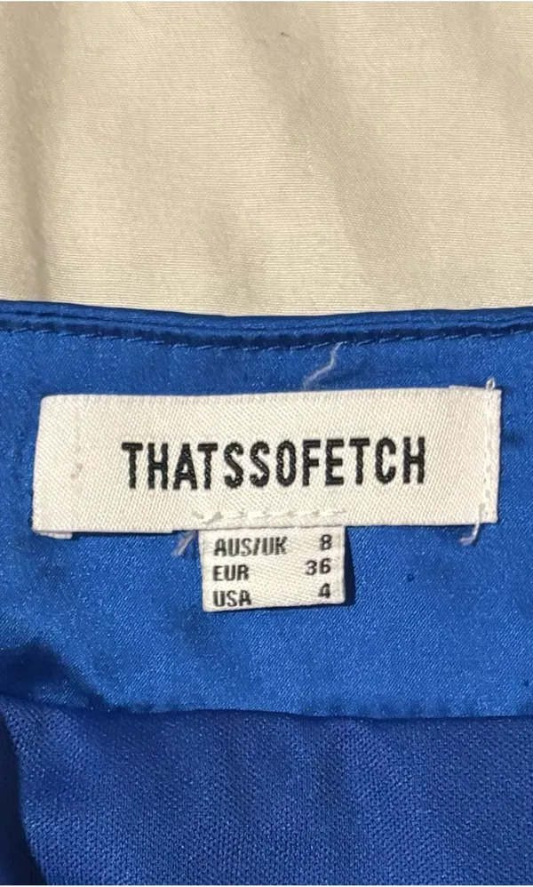 That’s So Fetch Blue Mini Dress - Image 4