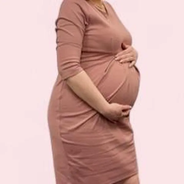 Maternity Women's Dusty Rose Sheath Dress - Image 6