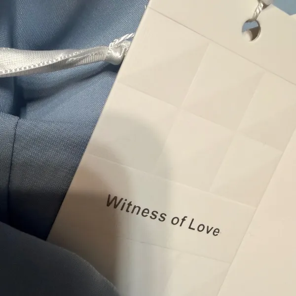 Witness of Love Blue‎ Embroidered Leaf Sequin Tulle Maxi Dress US 16 Flutter - Image 6