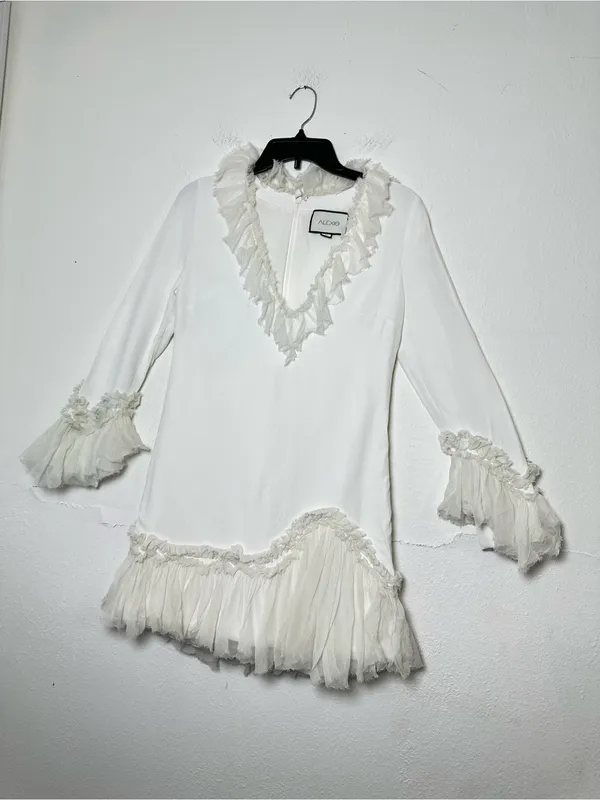 Alexis Barbara Azura Ivory Bell Long Sleeves V-Neck Ruffle Mini Dress Boho Sz M - Image 3