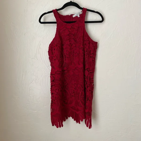 Lovers + Friends Caspian Lace shift dress▪️size S - Image 3