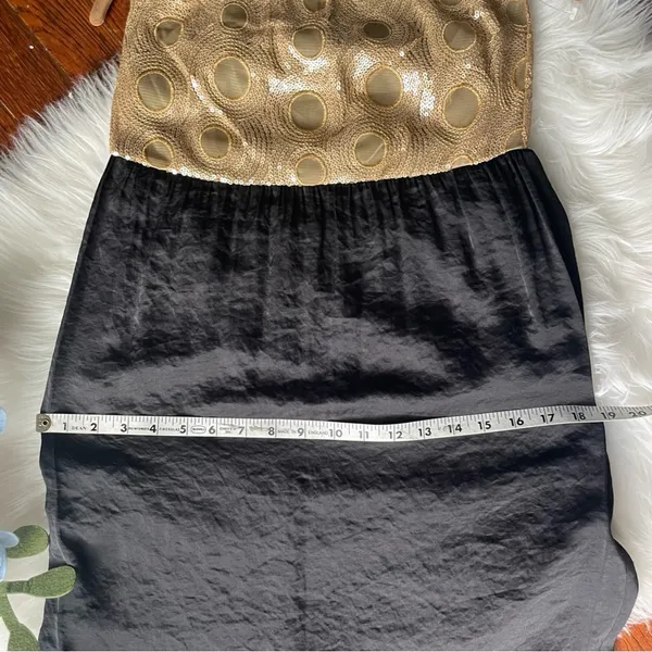Glam Gold & Black Sequin Strapless Dress NWOT - Image 10