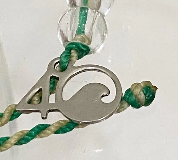 Limited Ed 4Ocean Bracelet Mangroves & Estuaries - Image 13